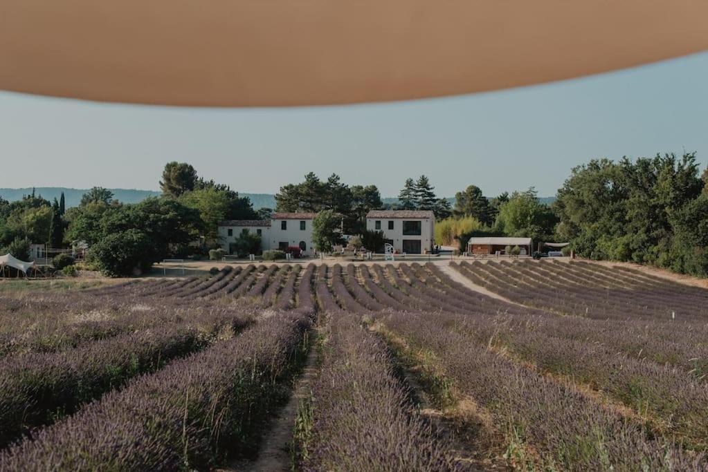 Terre Ugo - Studio Campagne Aixoise #6 Aix-en-Provence Ngoại thất bức ảnh