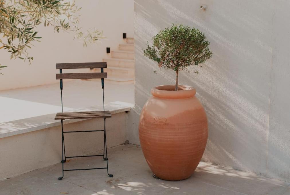 Terre Ugo - Studio Campagne Aixoise #6 Aix-en-Provence Ngoại thất bức ảnh