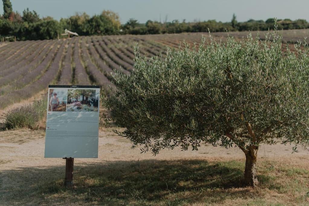 Terre Ugo - Studio Campagne Aixoise #6 Aix-en-Provence Ngoại thất bức ảnh