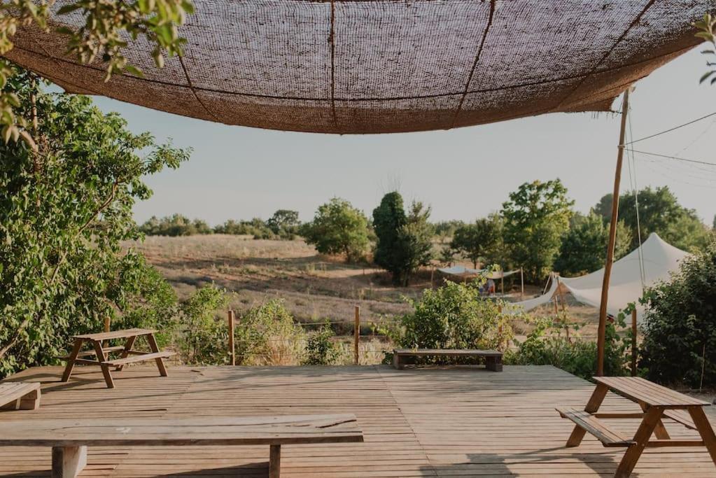 Terre Ugo - Studio Campagne Aixoise #6 Aix-en-Provence Ngoại thất bức ảnh